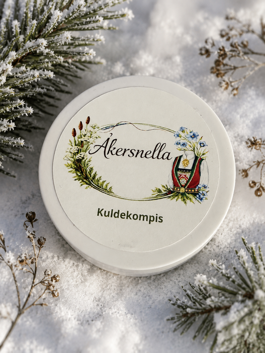 Kuldekompis