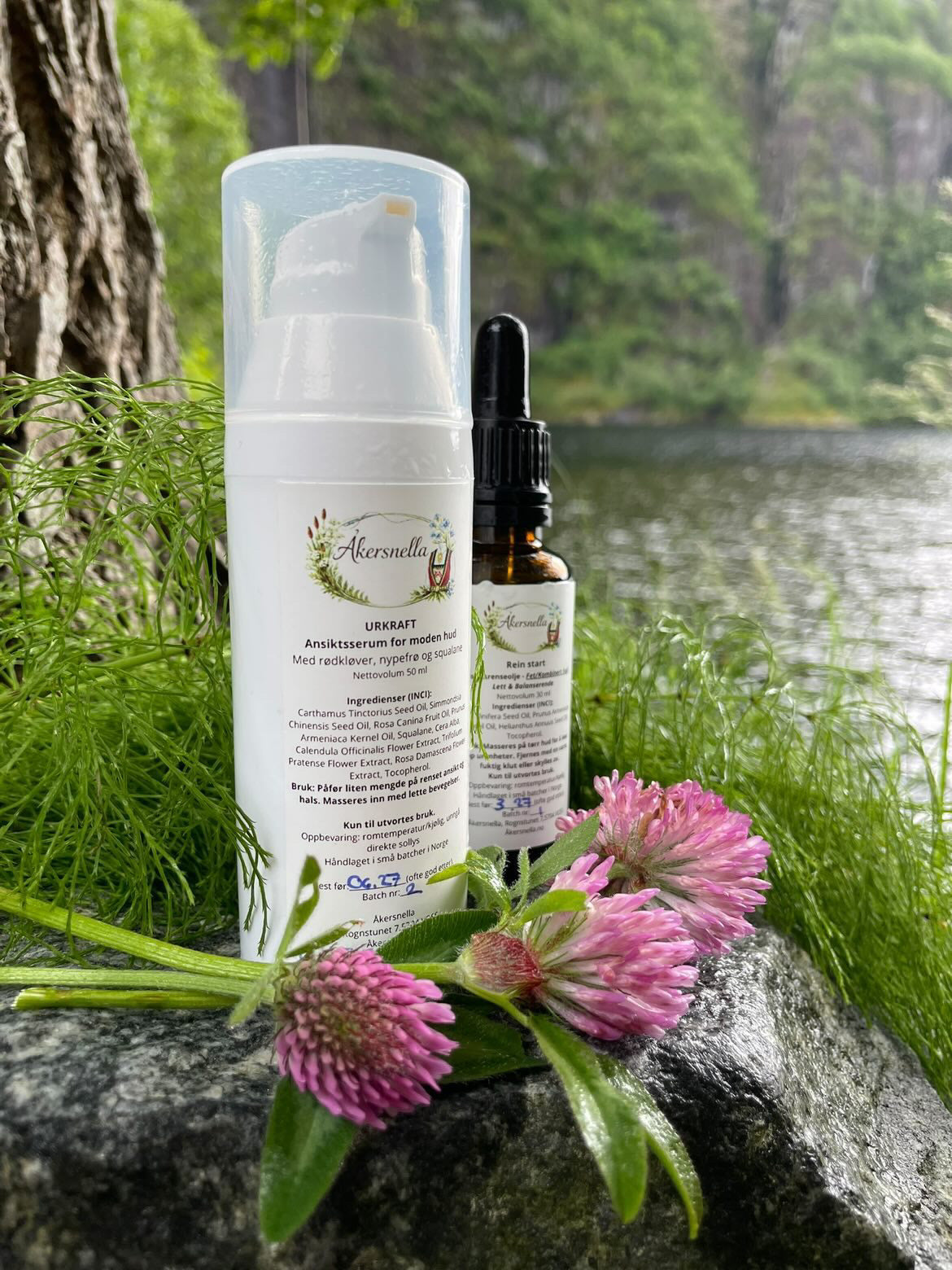 Urkraft- Anti-age dagserum for moden hud – nypefrø, rødkløver og squalane, 50 ml