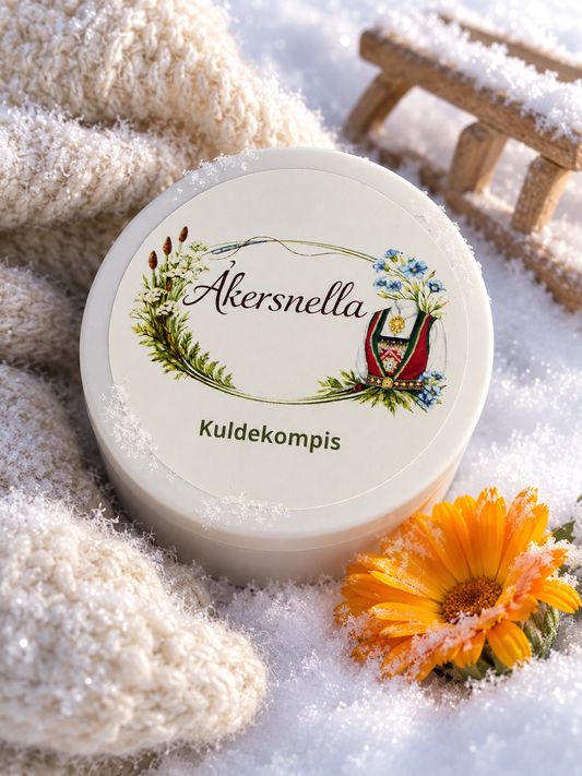 Kuldekompis