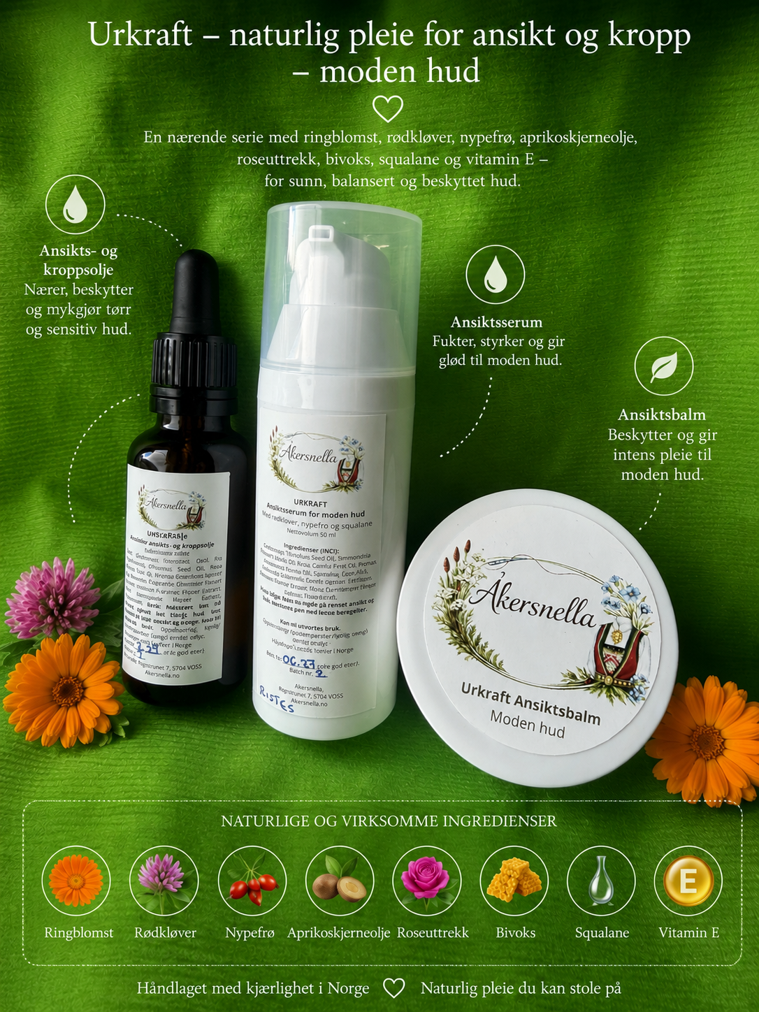 Urkraft- Anti-age dagserum for moden hud – nypefrø, rødkløver og squalane, 50 ml