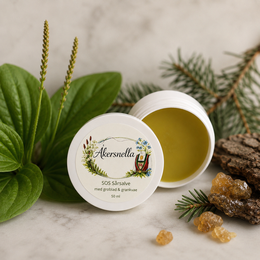 SOS sårsalve med groblad og grankvae
